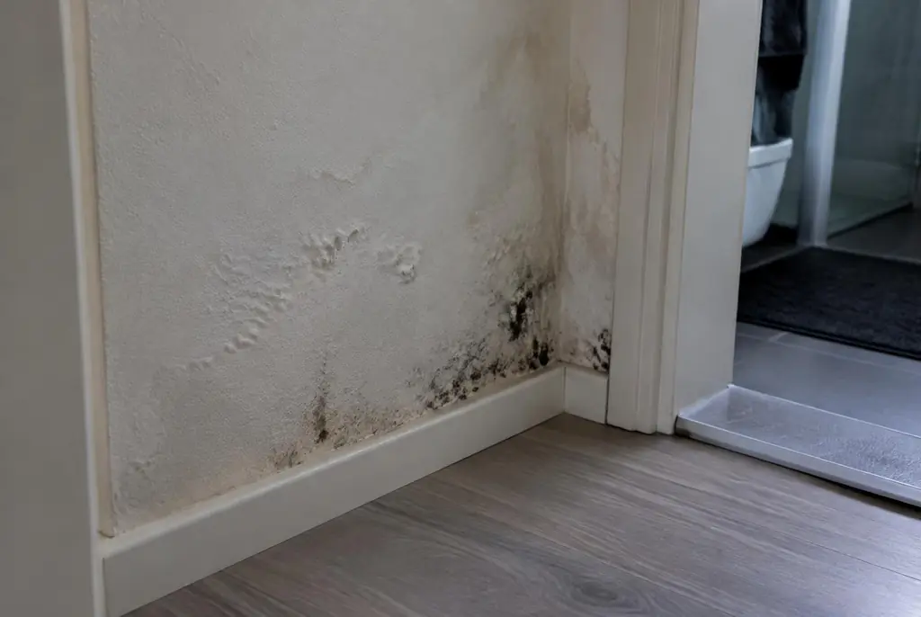 Lekdetectie Scherpenzeel – vochtplek met schimmel op een muur